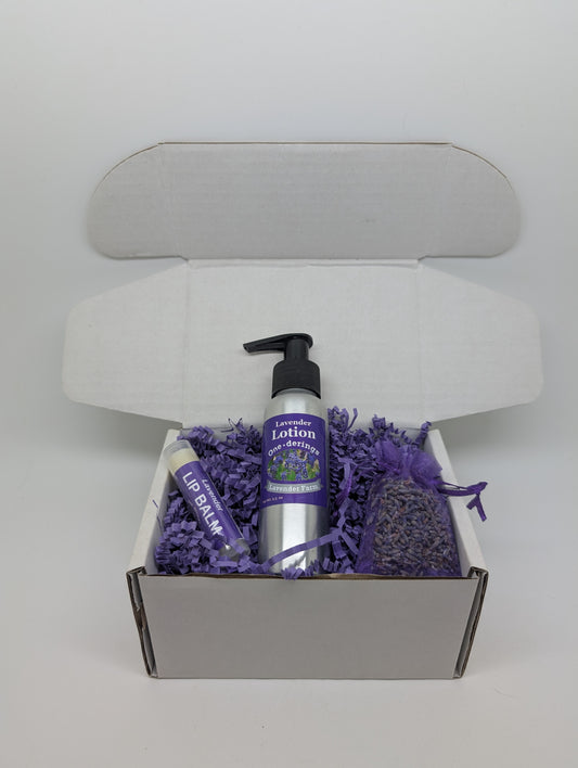 Lotion & Lip Balm Gift Pack