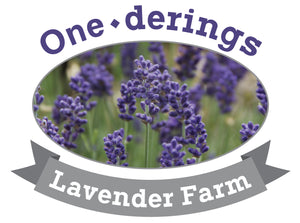 Dried Lavender “Field Bundle” — Toledo Lavender