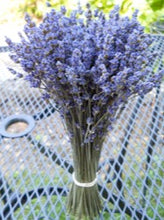 Load image into Gallery viewer, Representative photo of taller lavender bundles ( 6-8, 8-10 and 10 -12)