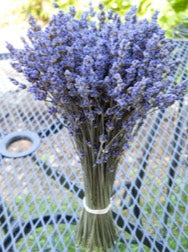 Representative photo of taller lavender bundles ( 6-8, 8-10 and 10 -12)